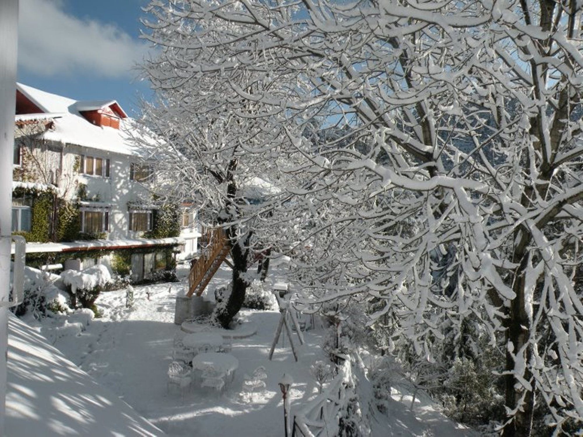 دالهوزي Alps Resort المظهر الخارجي الصورة